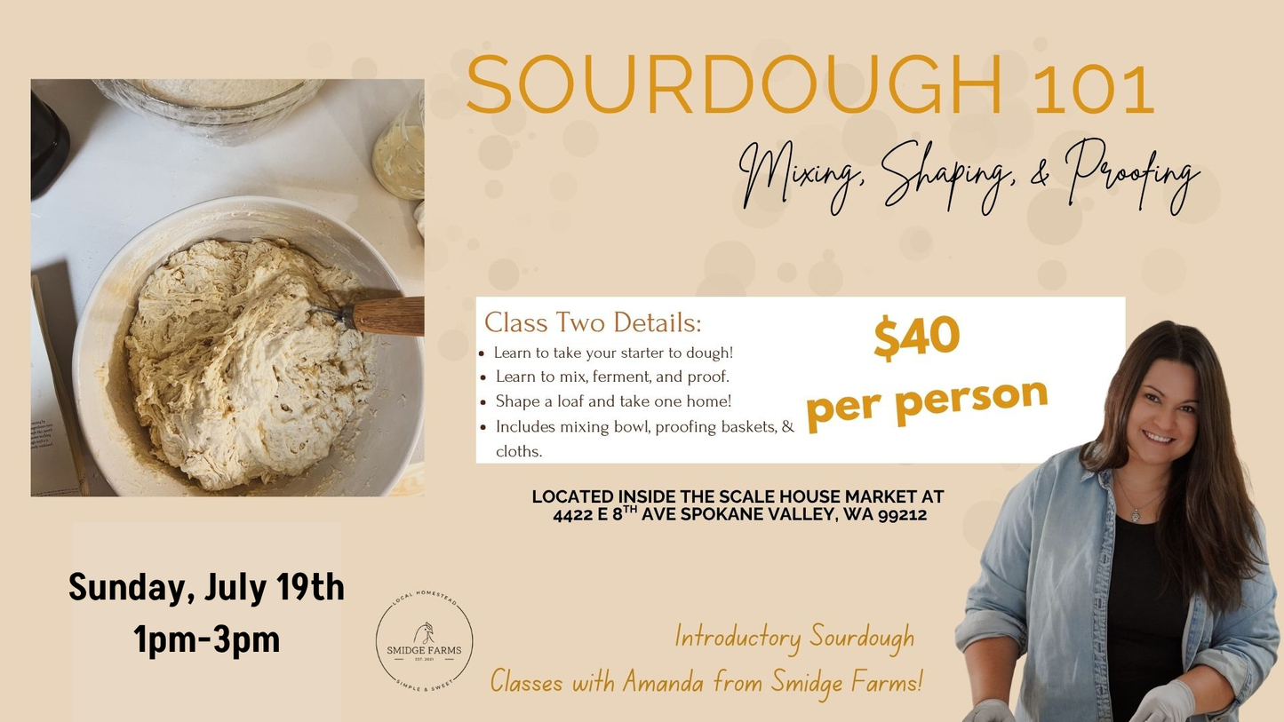 Sourdough 101: Class 2, July 19th 1pm
