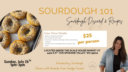 Sourdough 101: Class 3 July 26th 1pm