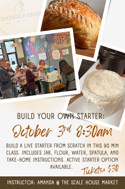 October Sourdough Series: Build a Starter, October 3rd